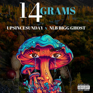 14 GRAMS (feat. NLB Bigg Ghost) (Explicit)