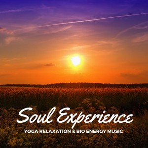 Soul Experience: Yoga Relaxation & Bio Energy Music