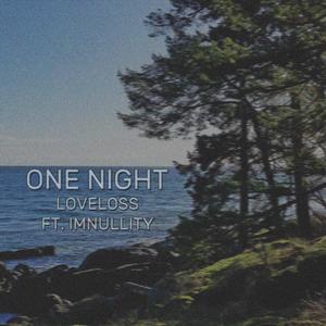 One Night(feat. ImNullity) (Explicit)