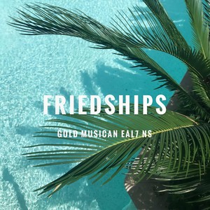 Pascal Letoublon-Friendships莱卡莱卡 (Eal7 NS / DruGTRaffickerS remix)