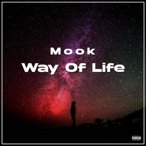 Way Of Life (Explicit)