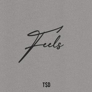 Feels (feat. Burn TBA, Kay-T, A-Clipse & Freddy Hayz) (Explicit)