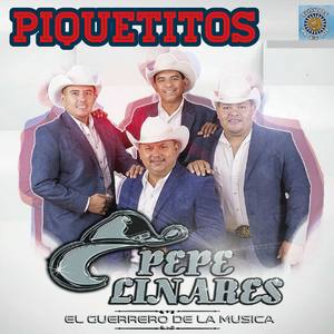 Piquetitos