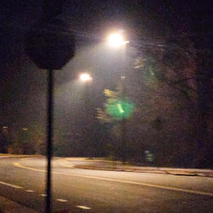 stayed for an hour more