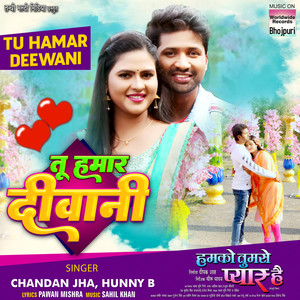 Tu Hamar Deewani (From
