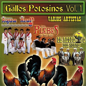 Gallos Potosinos, Vol. 1