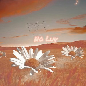 NoLuv (伴奏)