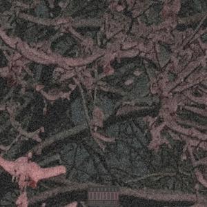 WEB OF//LIES (feat. RIP $PICEE) (Explicit)
