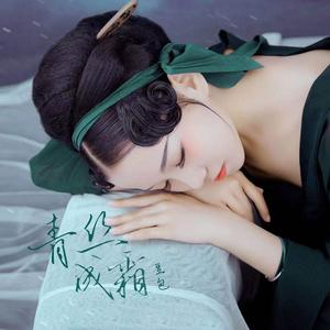 青丝成霜 (DJheap九天版) - 豆包封面