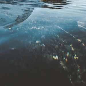 夹心摇3 (潮流舞蹈Bgm)