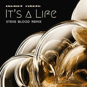 It's a Life (Vocal|Steve Blood Remix)