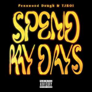 Spend My Days (feat. TJBOI) [Explicit]