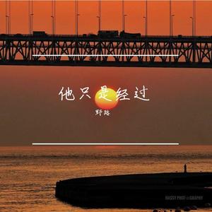 野路 - 他只是经过