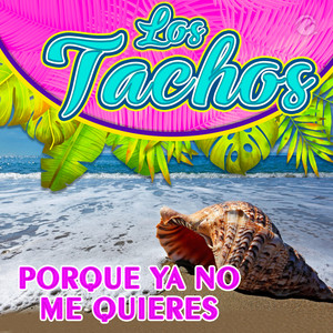 Porque Ya No Me Quieres