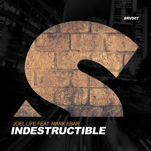 Indestructible (Extented Mix)
