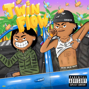 Twin Flow (Explicit)