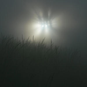 take u to my garden (Explicit)