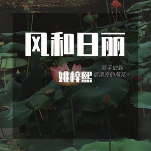 理想三旬2019
