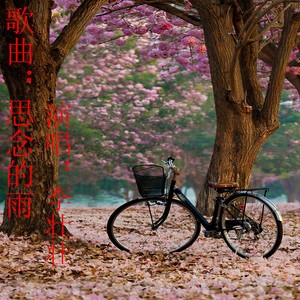 思念的雨