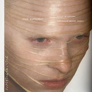 fake euphoria (Explicit)