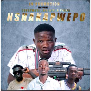 Nshakapwepo (feat. Cosmate x Mr life & D pasha) (feat. Cosmate x Mr life & D pasha|Explicit)