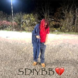 SDIYBB (Explicit)