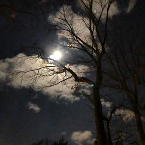 Tribal Treble/SuiliSamba(feat. Donny McCaslin, Horacio el Negro Hernandez & Kai Eckhardt)