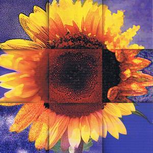 Der Mann mit dem lachenden Gesicht (Geschichte)(Geschichte)