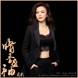 暗香盈袖封面