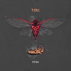 Sto finale (Outro) (Explicit)