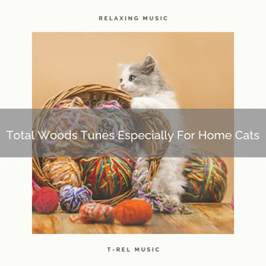 Complex Weather Noises For Our Cats