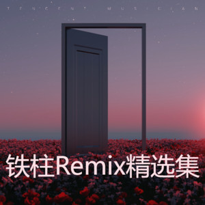 怎么说我不爱你-DJ铁柱Remix