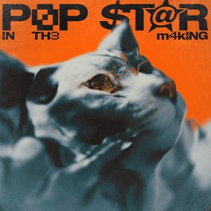 POPSTAR IN THE MAKING