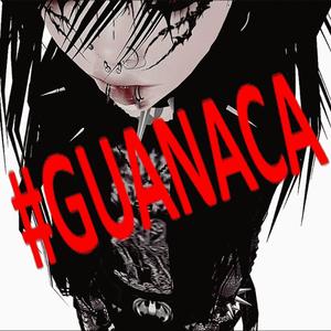 #GUANACA (feat. killamane) (Explicit)