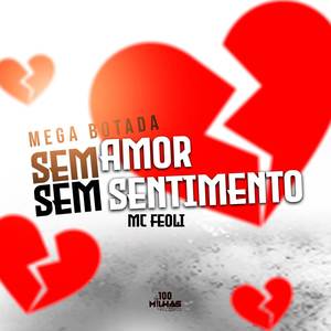 Mega Botada Sem Amor Sem Sentimento (Explicit)