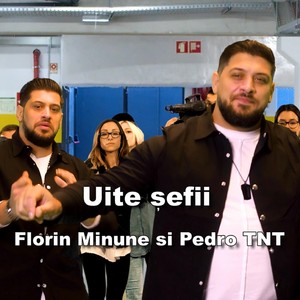 Uite sefii