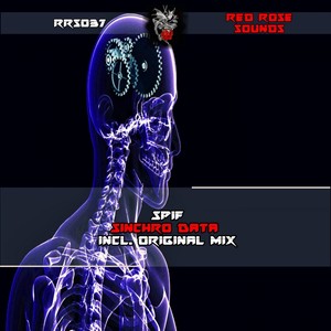 Sinchro Data