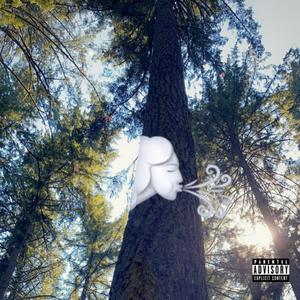 With The Wind (Explicit)