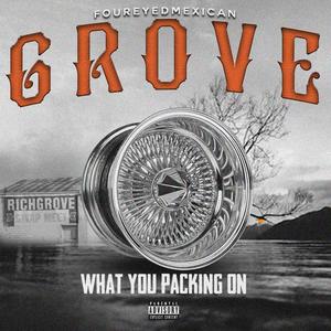 What you packing on (feat. TAZZ & HITZ) (Explicit)