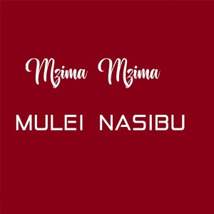 Mzima Mzima