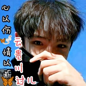 云贵山歌《网络夫妻真感情》痴情版 (Live)封面