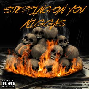 Stepping On You Niggas (Explicit)