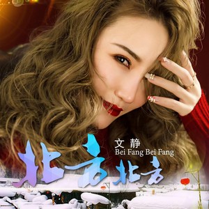 北方北方 (DJ何鹏版)