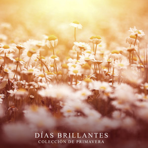 Friends Until the End