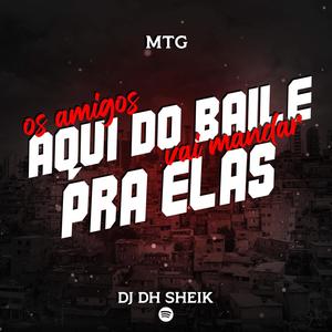 OS AMIGOS AQUI DO BAILE, VAI MANDAR PRA ELAS(DJ D H SHEIK)