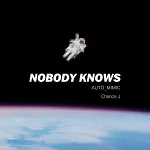 AUTO_MIMIC-NOBODY KNOWS (Remix)
