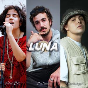 Luna (feat. Flave Boo & Dersanger) [Explicit]