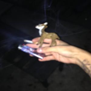 cat scratch (Explicit)