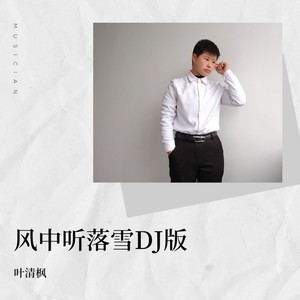 风中听落雪DJ版 (DJ版)