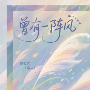 曾有一阵风